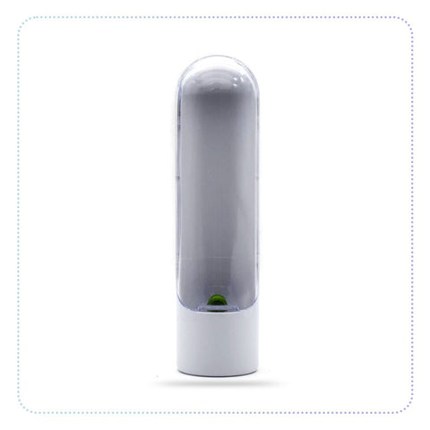 Premium Herb Preserver to Keep Vegetables Fresh, 1/2 Pack, Container for Home, Utensils for Kitchen and Home, Storage-ကြာရှည်ခံ အရွက်ထည့်ဘူး
