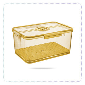 Multifunction Food Container Pet Plastic Transparent Thickened Timekeeping Refrigerator Storage Box-အစားအသောက်ထည့် အပူခံ၊ အအေးခံဘူးကျယ်